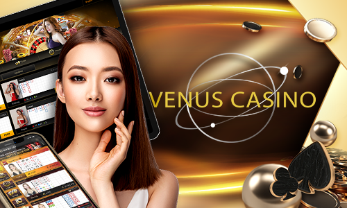 bet 665 77bet cassino Terminal móvel